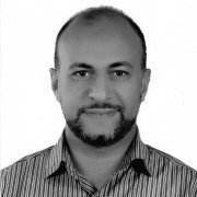 Sherif M. AbdelMohsen